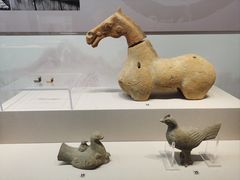 -淮安市博物馆