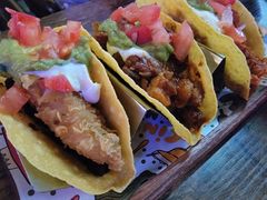 -Famous肥猫墨西哥音乐餐吧(五棵松华熙LIVE店)