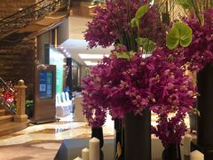 -西安赛瑞喜来登大酒店