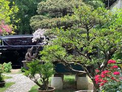 -大可堂普洱茶馆(襄阳南路馆)