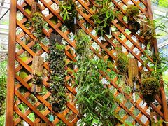 -国家植物园南园