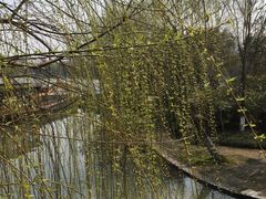 -南通濠河风景名胜区