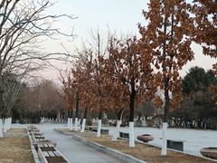 -长春世界雕塑园冰雪艺术天地