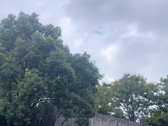-中国湿地博物馆