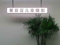-星豆豆儿童摄影(南郊太白南路店)