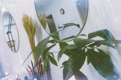 -爱薇半永久工作室