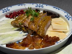 红油土鸡片-南堂馆·新川菜(春熙路店)