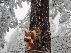 -瓦屋山景区