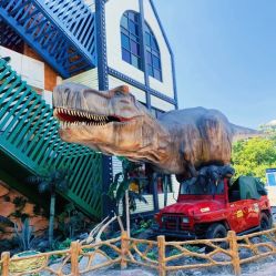 点击看大图 -宝燕乐园(闵行旗舰店)