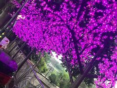-花好悦园(瀛洲店)