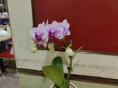 -佛有缘素食馆·荔湾老字号(陈家祠首店)