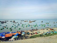 -美奈渔村