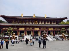 -庐山风景名胜区-东林大佛
