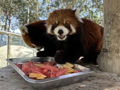 -水上乐园·欢乐世界