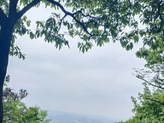 -惠山国家森林公园