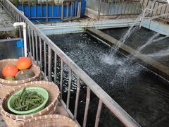 -水磨农庄