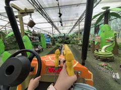 -南宫五洲植物乐园