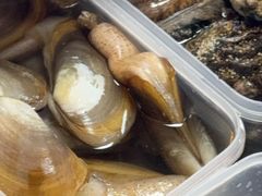 -阿城海鲜捞化(上下杭店)
