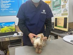 -爱侣宠医·鹦鹉专科·小型哺乳类·异宠专科(灵石路店)