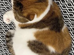 -春风松月楼(七宝万科店)