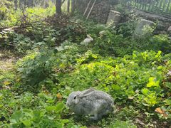 -猎鹰谷实弹射击俱乐部