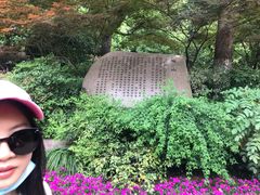 -杭州半山国家森林公园