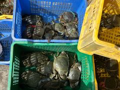 -尼甘布海鲜市场