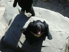 android_upload_pic-石家庄市动物园