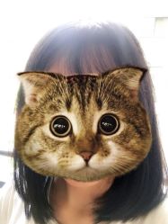 -意念造型