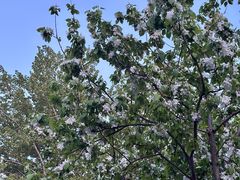 -元大都城垣遗址公园