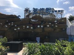 -瑞德姆美人鱼海底演艺主题餐厅(亚龙湾店)