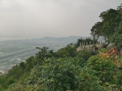 -青芝山风景名胜区