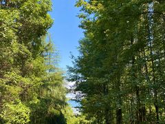 -铁山坪森林公园