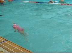 -虹桥河滨花园会所游泳馆