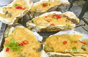 5+ Large Oysters