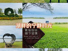 -武清南湖绿博园