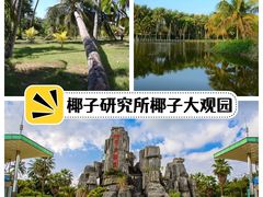 -海南铜鼓岭景区