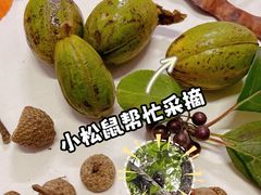 -国家植物园南园