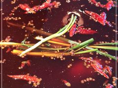 -骉骉老火锅(水杉街店)