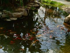 -南通洲际绿博园