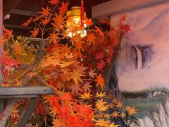 -蓉城老妈火锅(双林路店)