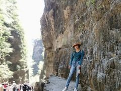 -白草畔自然风景区