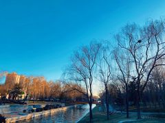 -元大都城垣遗址公园