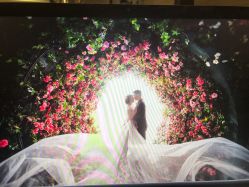 点击看大图 -太郎花子婚纱摄影艺术中心