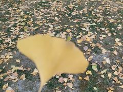 -塔子山公园