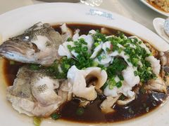 功夫蒸鲈鱼-黄埔华苑酒家(黄埔总店)