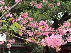 -宝墨园景区
