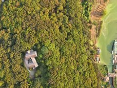 -上海市保健医疗中心