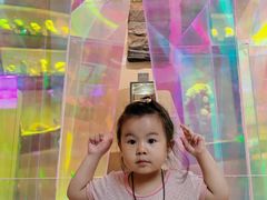 -陕西自然博物馆