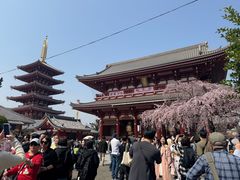 -浅草寺